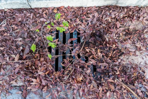 Cost of Yard Drain Unclogging in Medina