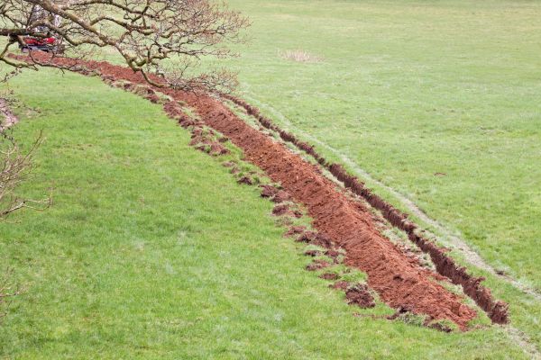 Cost of Swale Installation in Medina