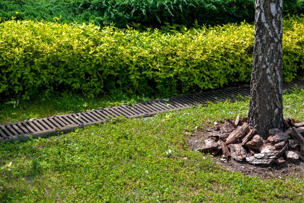 Cost of Residential Landscape Drainage in Medina
