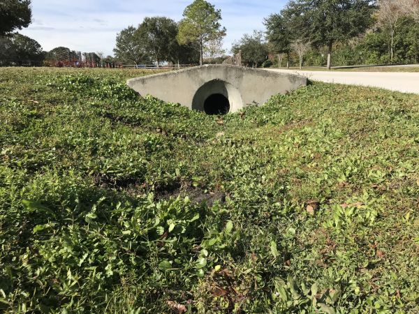 Cost of Swale Drainage Service in Medina