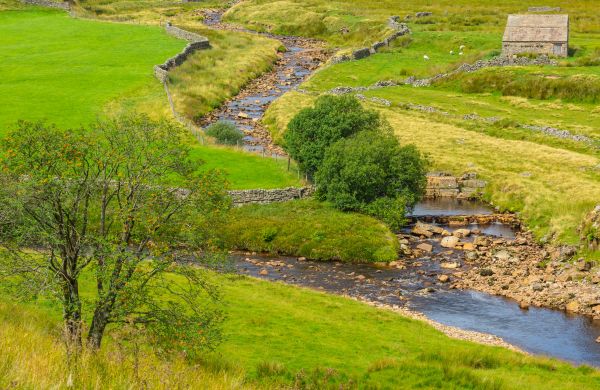 Cost of Swale Repair in Medina